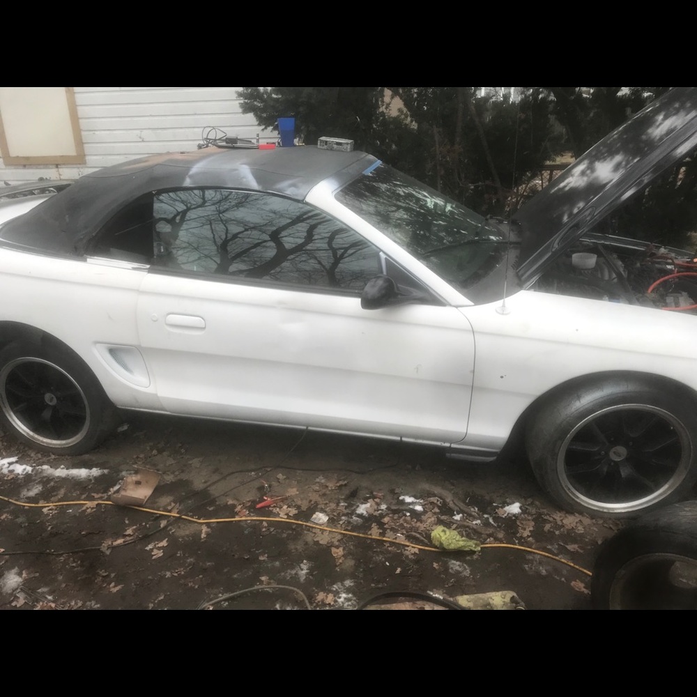 Mustang 95 selling the rims on them.